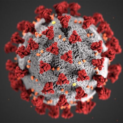 coronavirus coronavirus